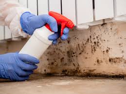 Mold Documentation for Insurance Claims in Bristol, CT